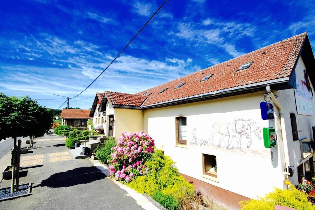 Appartement Am Hohenbusch Burg Reuland Esterno foto