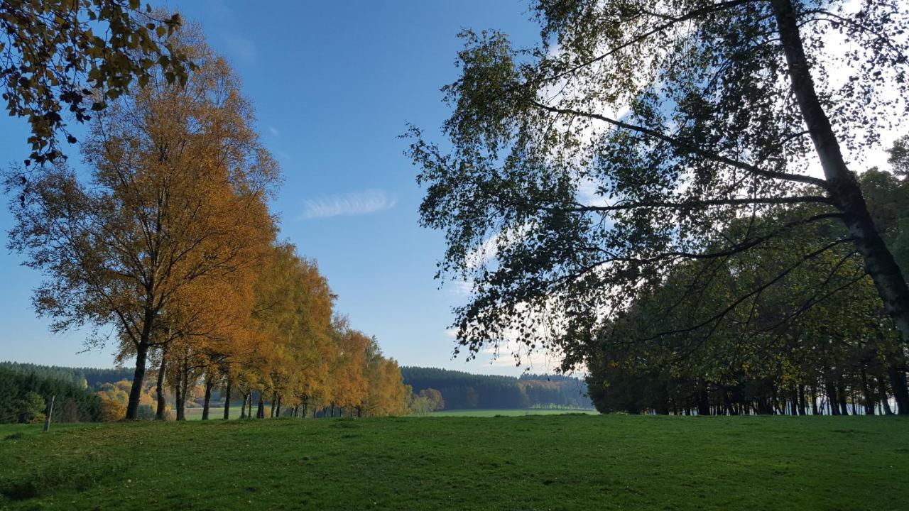 Appartement Am Hohenbusch Burg Reuland Esterno foto